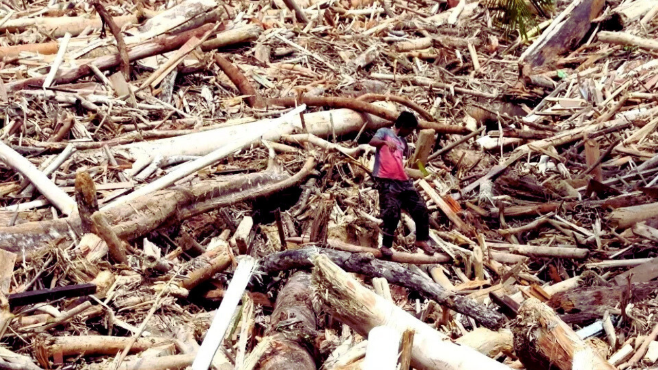 Tanpa Status Bencana Nasional, Penanganan Banjir Sumatera Terancam Kurang Maksimal?