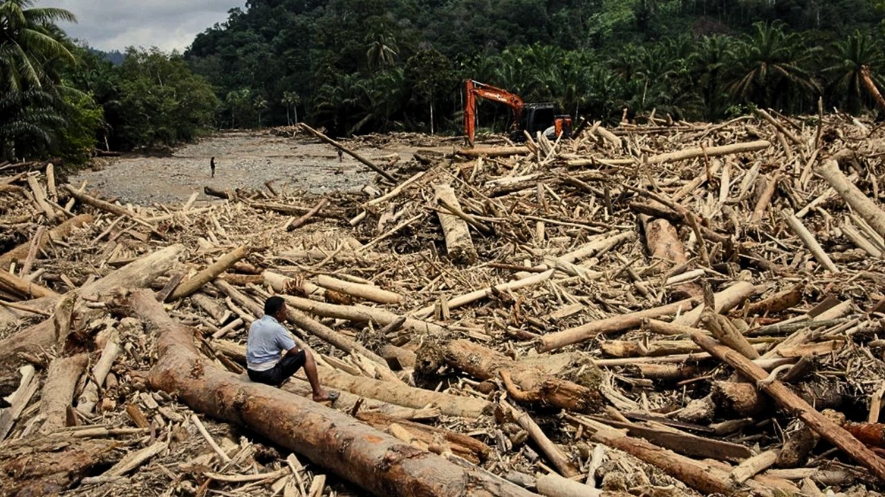 Bencana Deforestasi: Mengapa Sumatera Selalu Kalah