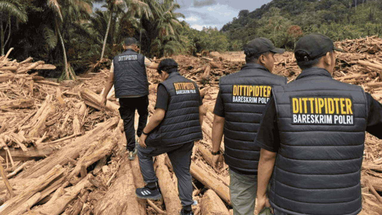 Bareskrim-Bersama Kejagung Gelar Perkara Kayu Gelondongan Banjir Sumut, Tersangka Disebut Segera Ditetapkan