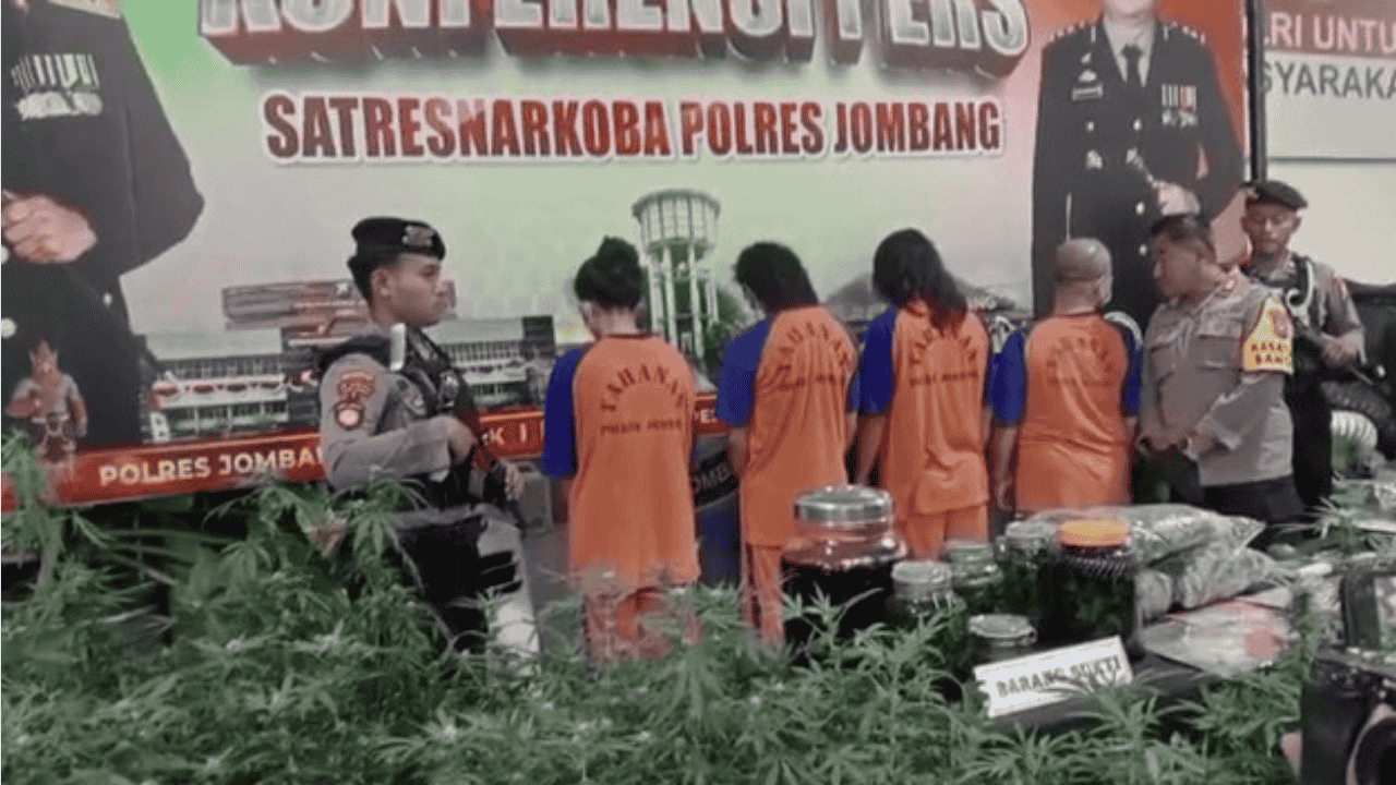 “Terinspirasi Naskah Kuno,” Otak Greenhouse Ganja Jombang Ngaku Sudah 5 Kali Dipenjara dan Ingin Ubah UU Narkotika