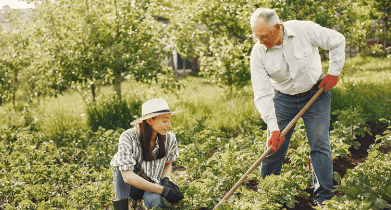 Hobi Berkebun Makin Diminati, Ini Langkah Dasar yang Harus Dipahami Pemula