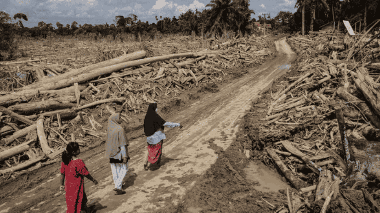 BNPB Update Korban Banjir-Longsor Sumatra: Tewas Tembus 1.135, Masih 173 Orang Belum Ditemukan